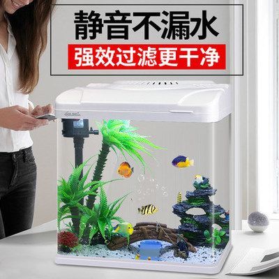 龍魚用什么過濾最好：如何選擇龍魚過濾器