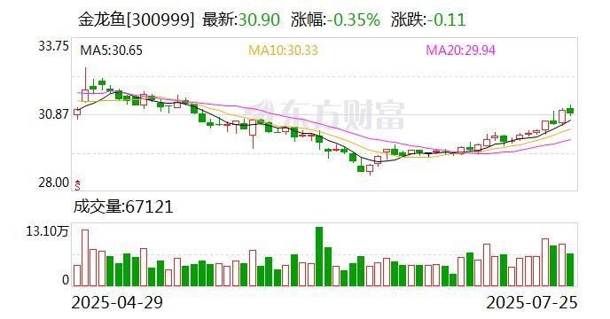 金龍魚財報