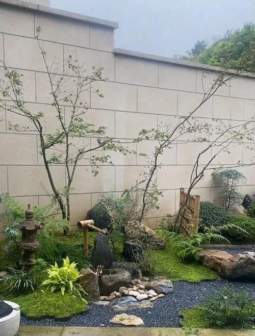 如何設置巖石造景分隔領地？ 如何設置巖石造景分隔領地？ 龍魚百科 第3張