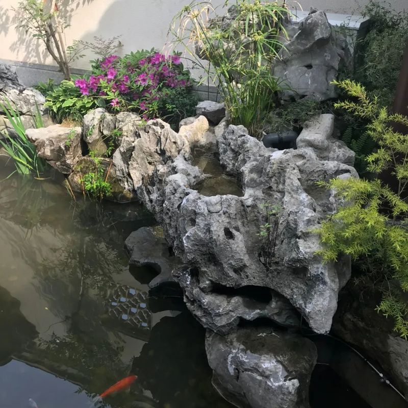 如何設置巖石造景分隔領地？ 如何設置巖石造景分隔領地？ 龍魚百科 第2張