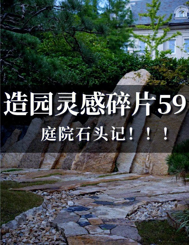 如何設置巖石造景分隔領地？ 如何設置巖石造景分隔領地？ 龍魚百科 第1張