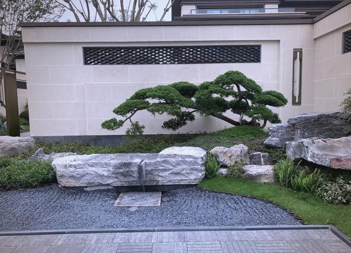 如何設置巖石造景分隔領地？ 如何設置巖石造景分隔領地？ 龍魚百科 第5張