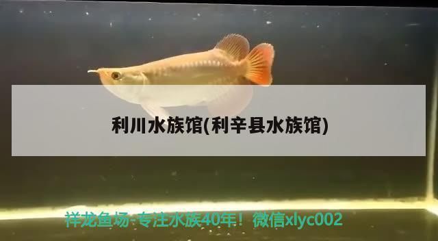 旅游網站祥龍水族館評價：青島市北區祥龍水族館