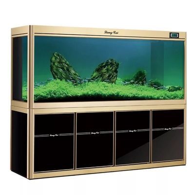 魚缸市場價(jià)（懶人魚缸的日常打理技巧）