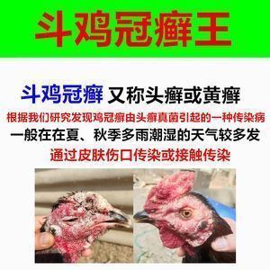 恐龍魚真菌感染的早期診斷方法：恐龍魚真菌感染的早期診斷