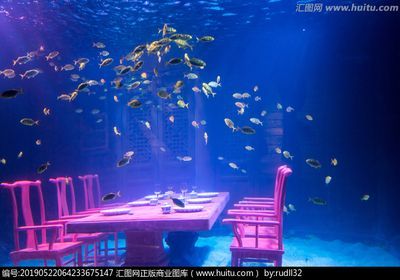 銀龍魚缸里可以造景嗎（銀龍魚缸可以造景嗎？）