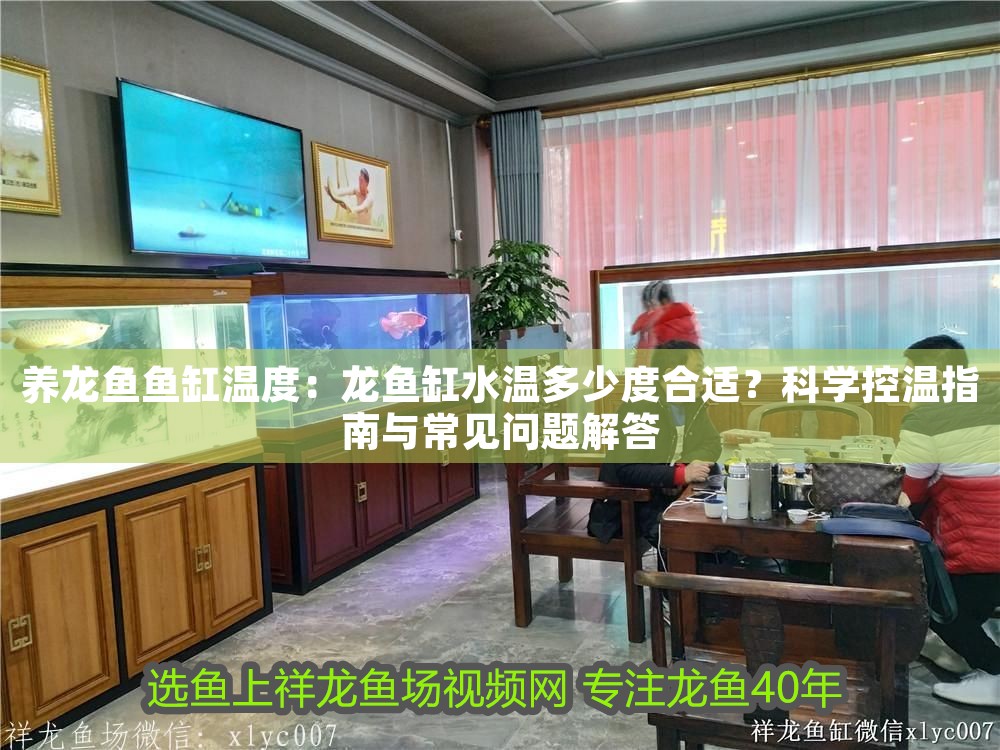 養龍魚魚缸溫度：龍魚缸水溫多少度合適？科學控溫指南與常見問題解答