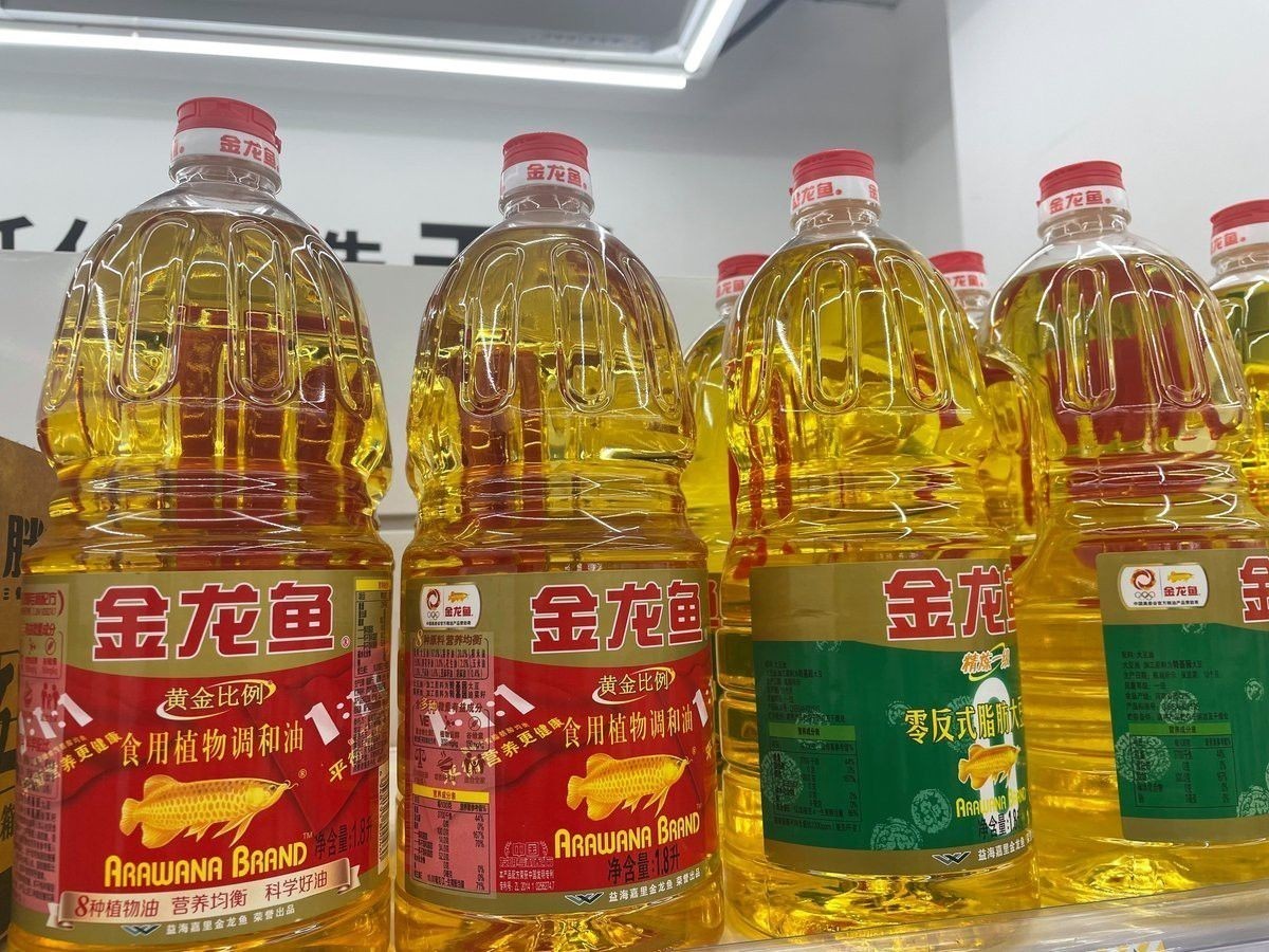 金龍魚大連分公司怎么樣啊