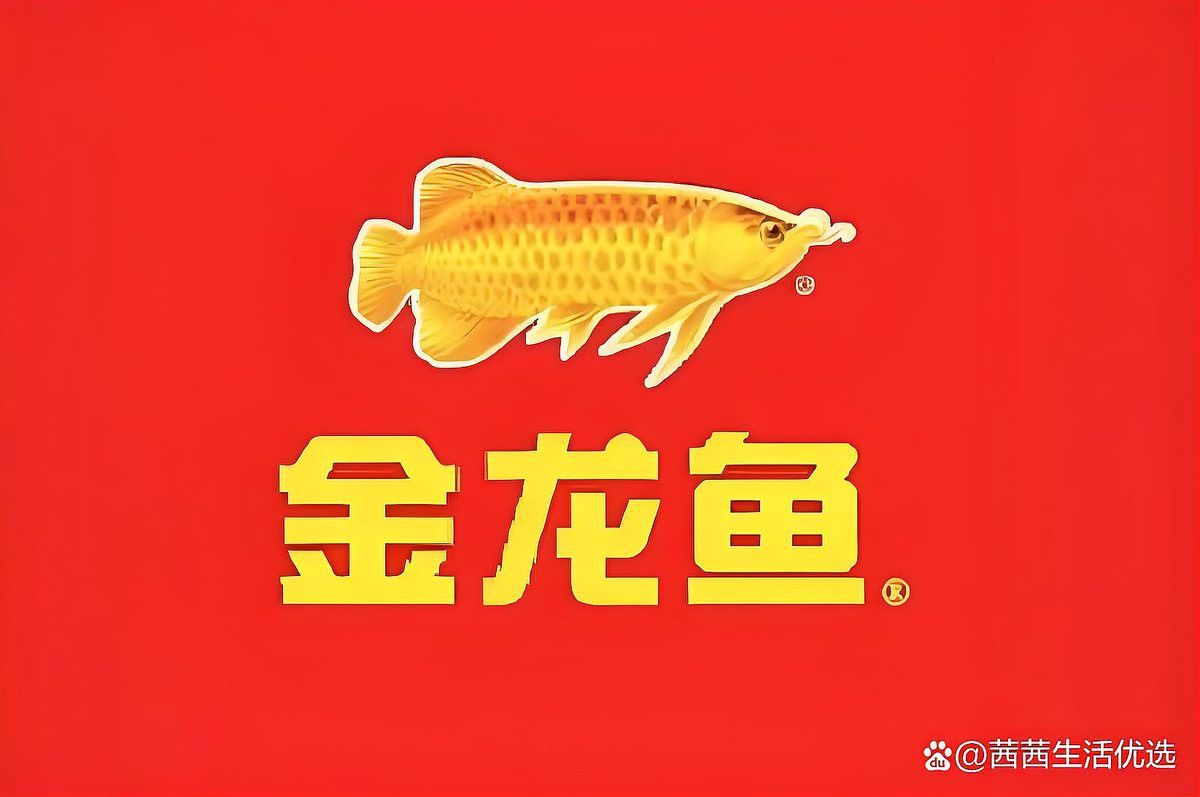 金龍魚大連分公司怎么樣啊