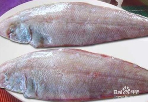 龍魚是海魚嗎