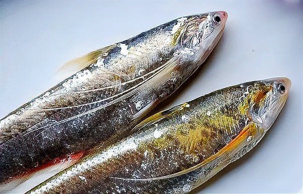 名貴淡水魚前十名排名