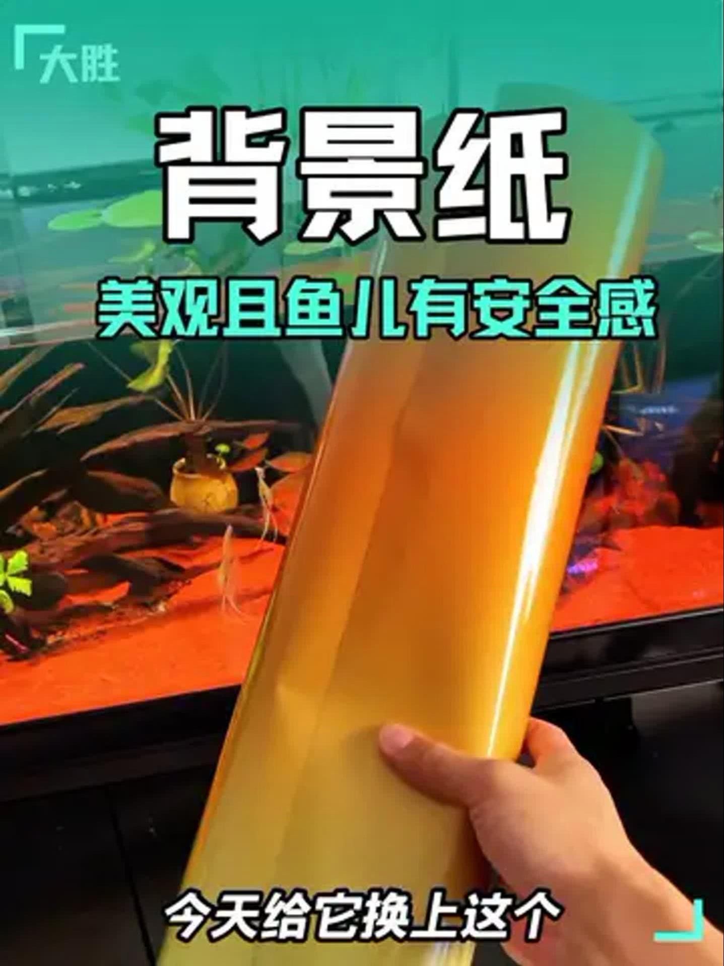 龍魚缸背景圖更換步驟