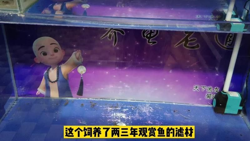 龍魚缸背景圖更換步驟