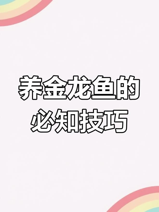 過背金龍魚的飲食習慣