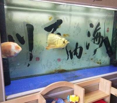 祥龍魚場官方微信（祥龍魚場官方微信公眾號是xlyc002,這個信息在多個搜索結果中得到了確認）