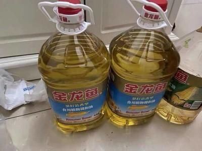 金龍魚怎么樣，如何挑選健康的金龍魚觀賞魚
