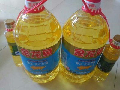 金龍魚怎么樣，如何挑選健康的金龍魚觀賞魚