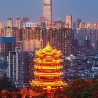 金貓打得過猞猁嗎