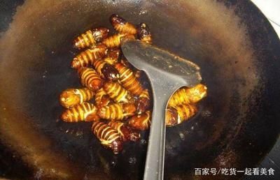 龍魚魚缸廠家電話地址