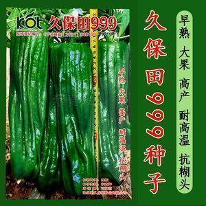 印尼綠皮辣椒紅龍魚活餌選擇：印尼綠皮辣椒紅龍魚活餌搭配，紅龍魚活餌營養均衡指南