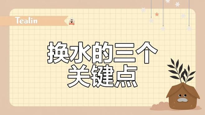 古龍魚換水時需要注意什么？