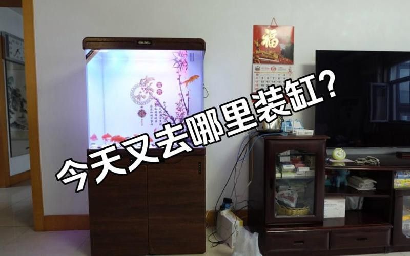 西龍魚(yú)缸安裝視頻大全圖解