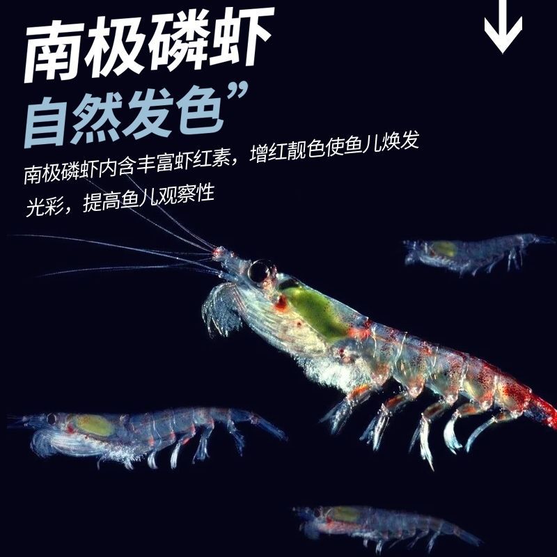 龍魚喂蝦紅素有害嗎：蝦紅素對龍魚的增色有什么作用？