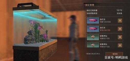 海水紅龍魚好養(yǎng)嗎：海水紅龍魚與淡水紅龍魚對比