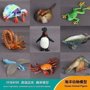 龍魚背部發(fā)白:龍魚背部發(fā)白是怎么回事 龍魚百科 第6張 龍魚背部發(fā)白:龍魚背部發(fā)白是怎么回事 龍魚背部發(fā)白:龍魚背部發(fā)白是怎么回事 龍魚百科 第6張