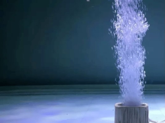 紅龍魚活多少年壽命會變長呢圖片（紅龍魚活多少年壽命會變長呢圖片大全）