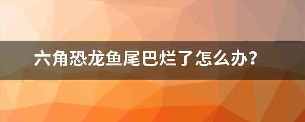 六角恐龍魚尾巴裂開出血：六角恐龍魚尾巴爛了怎么辦