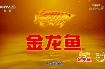 金龍魚贊助的節目：金龍魚贊助的節目列表