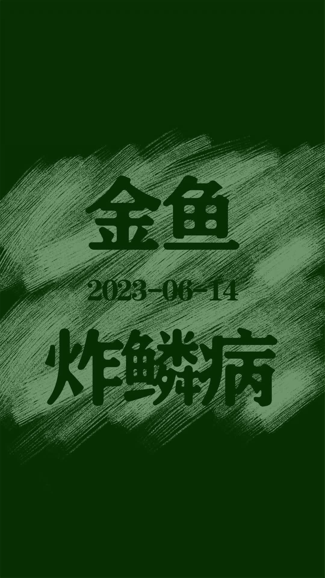 如何判斷金魚炸鱗病的嚴(yán)重程度？