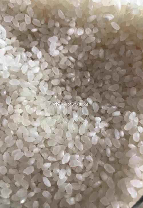 金龍魚5千克盤錦米圖片
