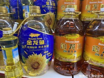 金龍魚有幾種（澳洲龍魚：有星點珍珠龍魚、珍珠龍魚、南美洲骨舌魚科魚類） 金龍魚有幾種（澳洲龍魚：有星點珍珠龍魚、珍珠龍魚、南美洲骨舌魚科魚類） 龍魚百科 第1張