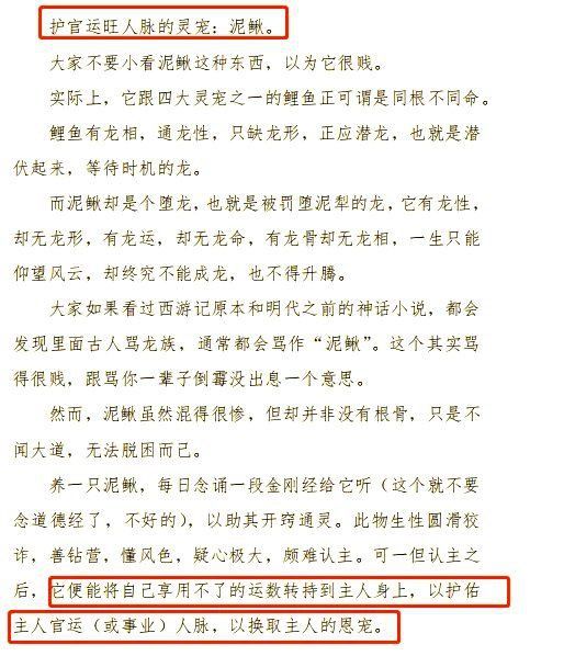 金色泥鰍寓意和象征