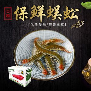 龍魚(yú)口糧：龍魚(yú)口糧選擇對(duì)其生長(zhǎng)、健康和飼養(yǎng)難度都有重要影響
