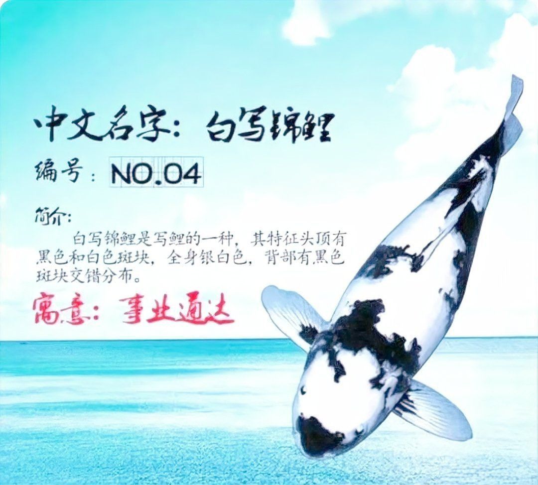 錦鯉突然死了要警惕