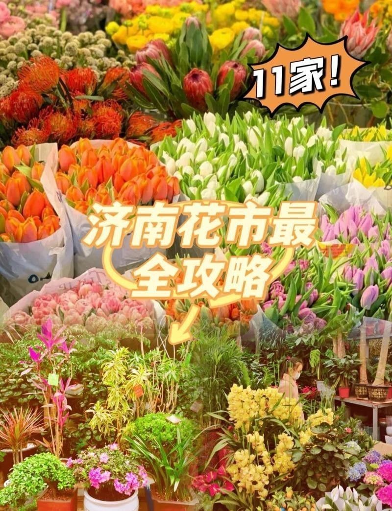 濟南龍魚批發市場在哪里有