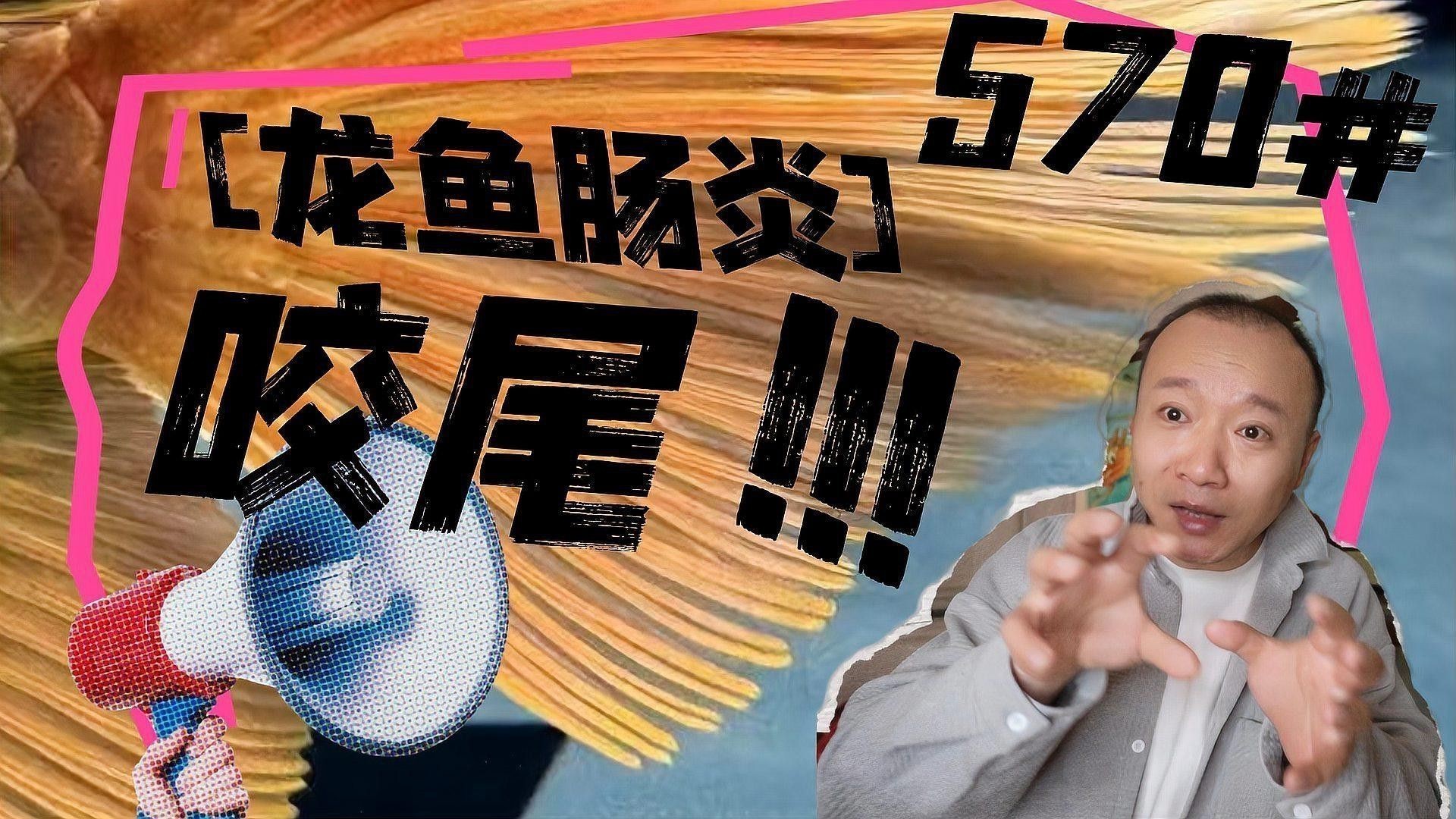 如何預防龍魚再次咬尾？