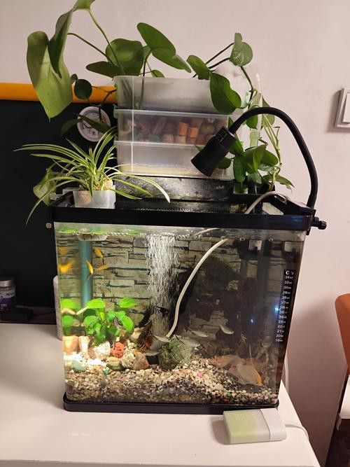 西龍魚缸過濾器安裝圖