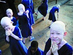 龍魚眼白膜能自愈嗎？