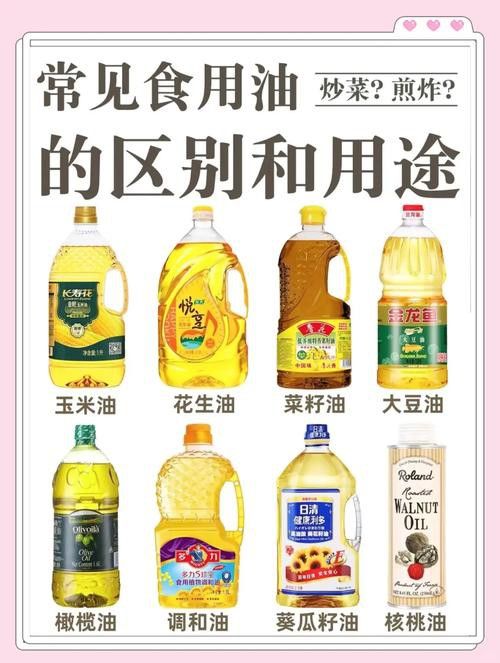 多力與金龍魚哪個更受歡迎？