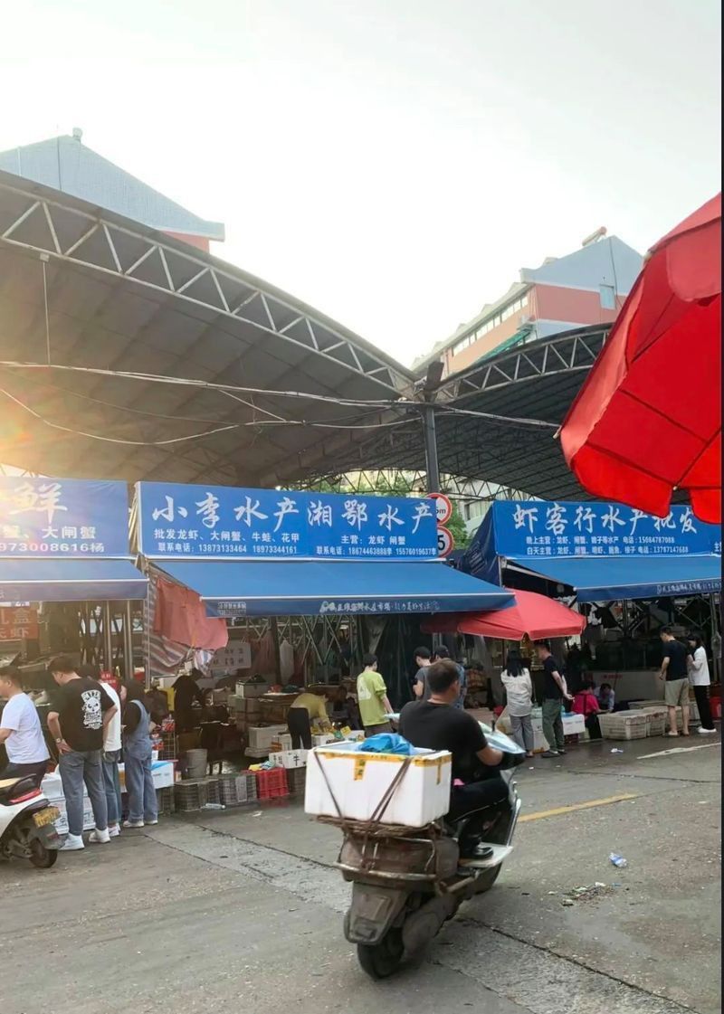 龍蝦批發5元一斤