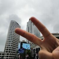 金龍魚投訴電話