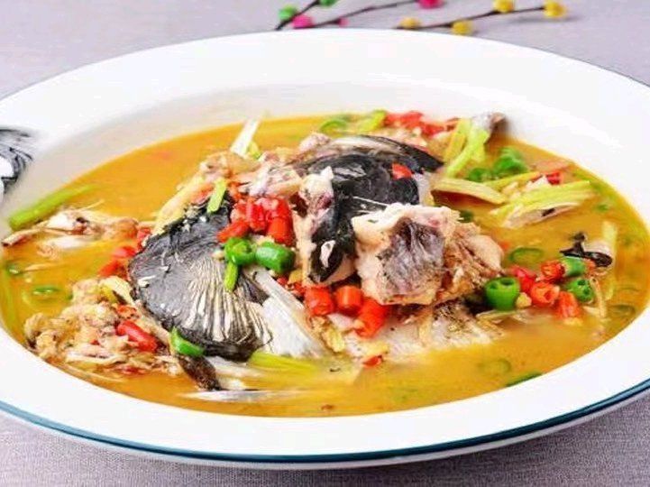 吉安龍魚專賣店