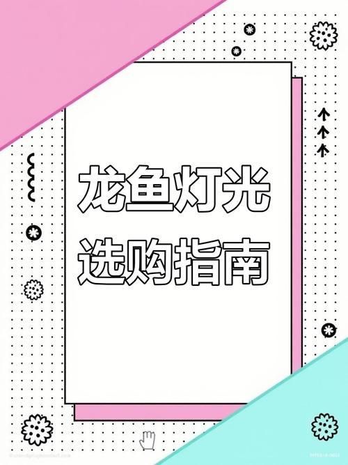 龍魚燈擺放位置示意圖