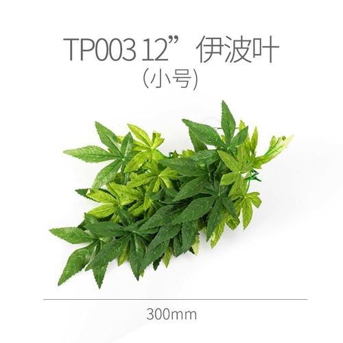 龍魚缸裝飾品有哪些推薦品牌？