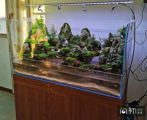 龍魚缸裝飾品有哪些推薦品牌？
