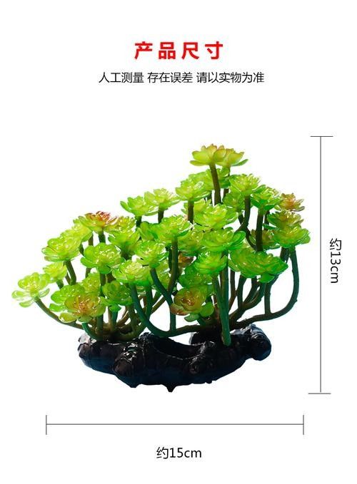 龍魚缸裝飾品有哪些推薦品牌？